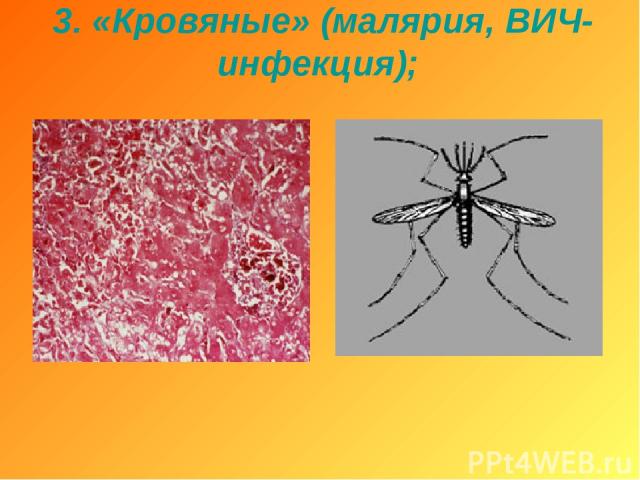 Короновирусная инфекция презентация инфекционные болезни