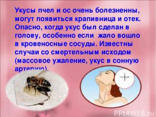 Укусы пчел и ос очень болезненны, могут появиться крапивница и отек. Опасно, ког
