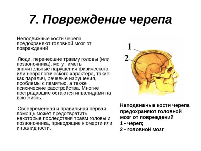 7. Повреждение черепа Неподвижные кости черепа предохраняют головной мозг от повреждений Люди, перенесшие травму головы (или позвоночника), могут иметь значительные нарушения физического или неврологического характера, такие как паралич, речевые нар…