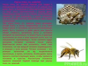 Укусы пчел, ос, шмелей Укусы пчел, ос, шмелей опасны для людей с повышенной чувс