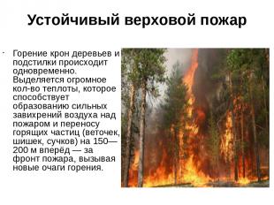 Устойчивый верховой пожар Горение крон деревьев и подстилки происходит одновреме