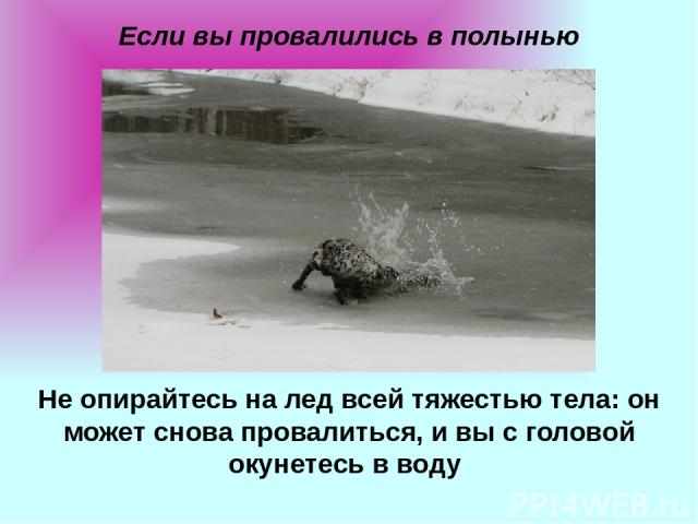 Если вы провалились в полынью Не опирайтесь на лед всей тяжестью тела: он может снова провалиться, и вы с головой окунетесь в воду