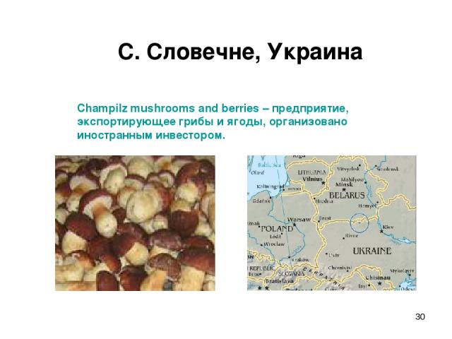 * С. Словечне, Украина Champilz mushrooms and berries – предприятие, экспортирующее грибы и ягоды, организовано иностранным инвестором.