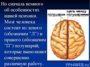 Но сначала немного об особенностях нашей психики. Мозг человека состоит из левог