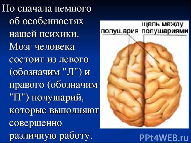 Но сначала немного об особенностях нашей психики. Мозг человека состоит из левого (обозначим 