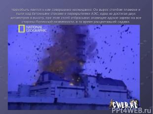 Чернобыль явился к нам совершенно неожиданно. Он вырос столбом пламени и пыли на