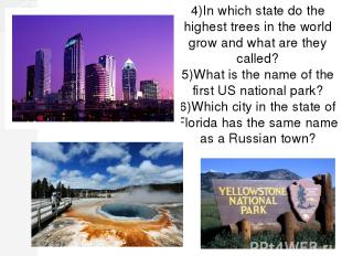 4)In which state do the highest trees in the world grow and what are they called