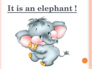 It is an elephant !