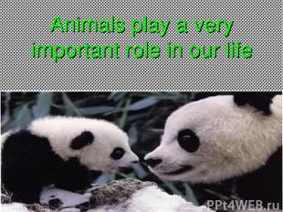 Animals play a very important role in our life