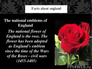 Facts about england The national emblems of England The national flower of Engla