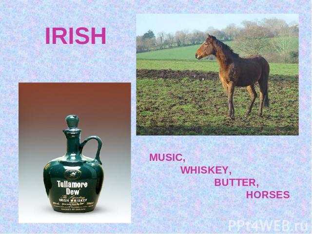 MUSIC, WHISKEY, BUTTER, HORSES IRISH