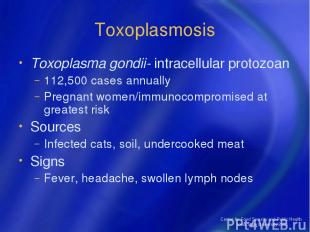 Center for Food Security and Public Health Iowa State University 2004 Toxoplasmo