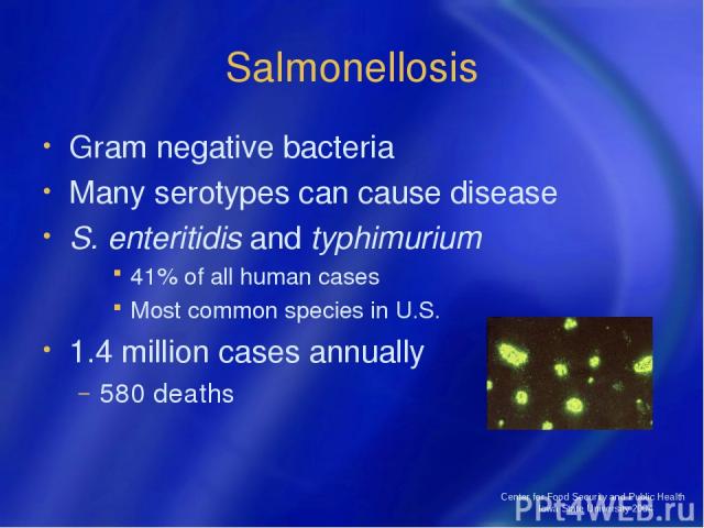 Center for Food Security and Public Health Iowa State University 2004 Salmonellosis Gram negative bacteria Many serotypes can cause disease S. enteritidis and typhimurium 41% of all human cases Most common species in U.S. 1.4 million cases annually …