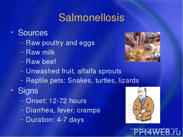 Center for Food Security and Public Health Iowa State University 2004 Salmonellosis Sources Raw poultry and eggs Raw milk Raw beef Unwashed fruit, alfalfa sprouts Reptile pets: Snakes, turtles, lizards Signs Onset: 12-72 hours Diarrhea, fever, cramp…
