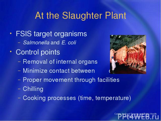 Center for Food Security and Public Health Iowa State University 2004 At the Slaughter Plant FSIS target organisms Salmonella and E. coli Control points Removal of internal organs Minimize contact between carcasses Proper movement through facilities…