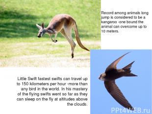Record among animals long jump is considered to be a kangaroo -one bound the ani