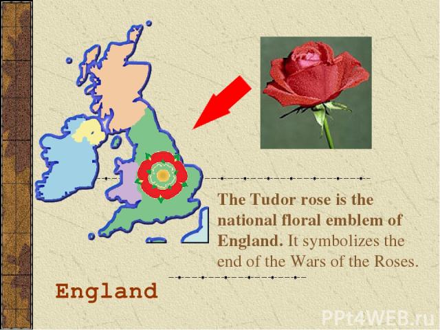 England The Tudor rose is the national floral emblem of England. It symbolizes the end of the Wars of the Roses.