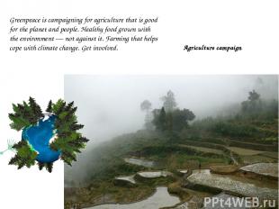 Agriculture campaign Greenpeace is campaigning for agriculture that is good for