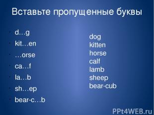 Вставьте пропущенные буквы d…g kit…en …orse сa…f la…b sh…ep bear-c…b dog kitten
