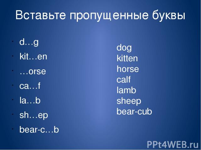 Вставьте пропущенные буквы d…g kit…en …orse сa…f la…b sh…ep bear-c…b dog kitten horse calf lamb sheep bear-cub Буквы: u h m e t l o