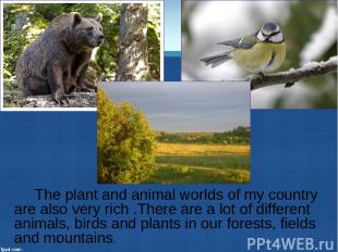 The plant and animal worlds of my country are also very rich .There are a lot of