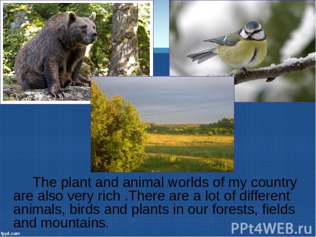 The plant and animal worlds of my country are also very rich .There are a lot of different animals, birds and plants in our forests, fields and mountains.