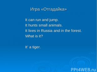 Игра «Отгадайка» It can run and jump. It hunts small animals. It lives in Russia