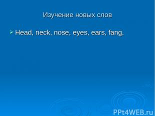 Изучение новых слов Head, neck, nose, eyes, ears, fang.