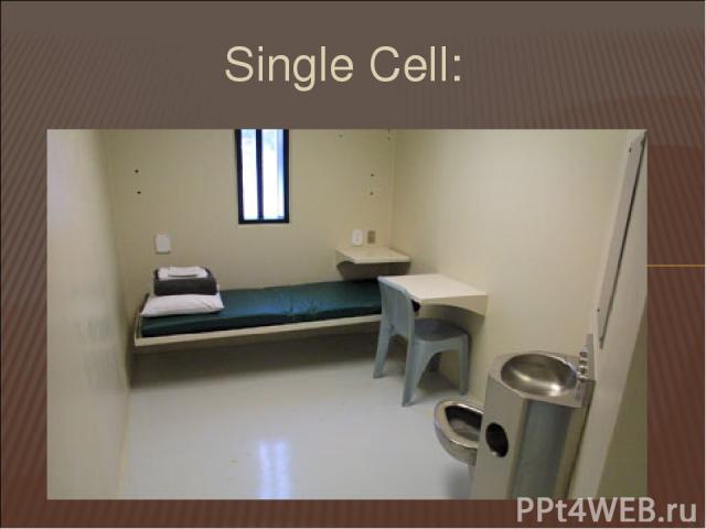 Single Cell: