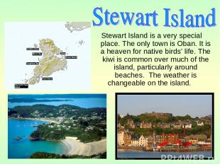 Stewart Island is a very special place. The only town is Oban. It is a heaven fo