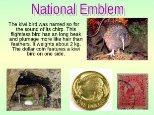The kiwi bird was named so for the sound of its chirp. This flightless bird has