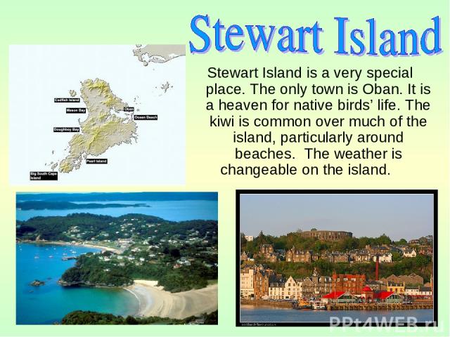 Stewart Island is a very special place. The only town is Oban. It is a heaven for native birds’ life. The kiwi is common over much of the island, particularly around beaches. The weather is changeable on the island.