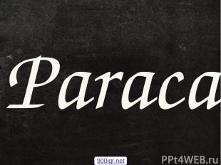 Paracas 900igr.net