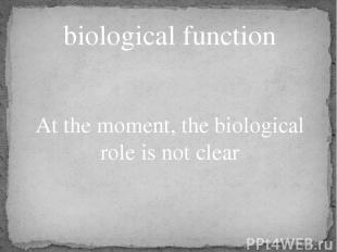 biological function At the moment, the biological role is not clear