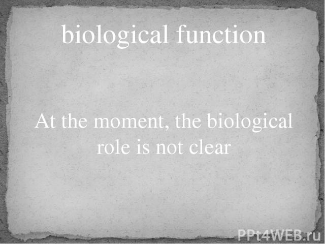 biological function At the moment, the biological role is not clear