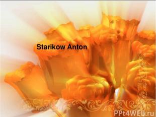 Starikow Anton