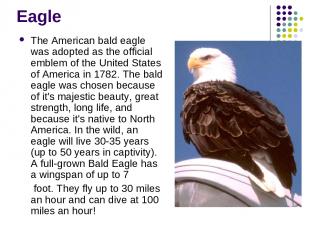 Eagle The American bald eagle was adopted as the official emblem of the United S