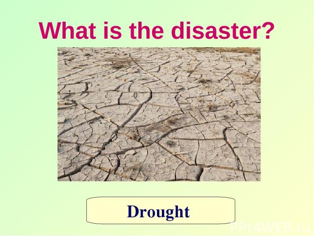 What is the disaster? Drought
