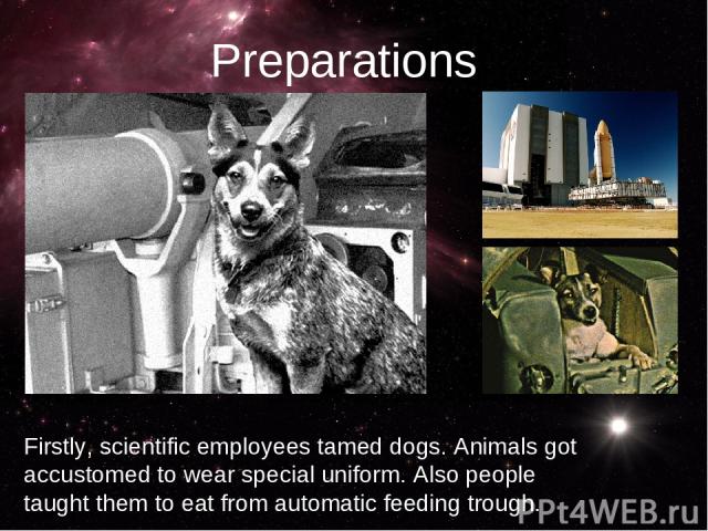Firstly, scientific employees tamed dogs. Animals got accustomed to wear special uniform. Also people taught them to eat from automatic feeding trough. Preparations