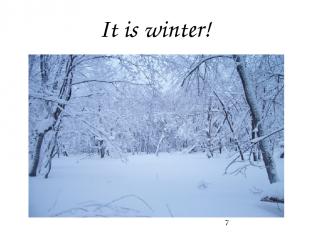 It is winter!