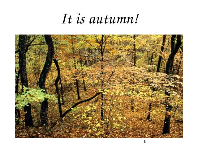 It is autumn!