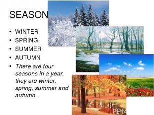 SEASONS WINTER SPRING SUMMER AUTUMN There are four seasons in a year, they are w