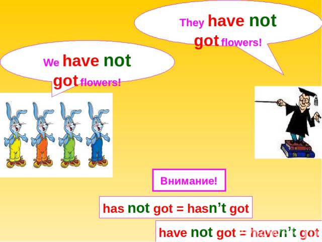 We have not got flowers! They have not got flowers! has not got = hasn’t got have not got = haven’t got Внимание!