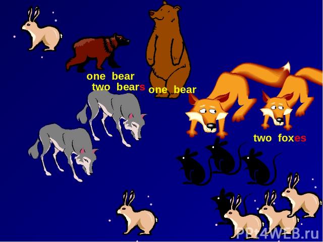 one bear one bear two bears two foxes