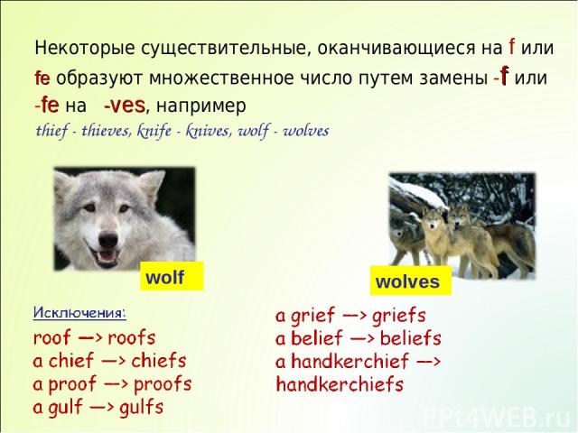 Некоторые существительные, оканчивающиеся на f или fe образуют множественное число путем замены -f или -fe на -ves, например thief - thieves, knife - knives, wolf - wolves wolf wolves