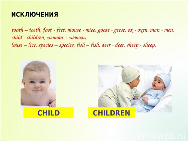 ИСКЛЮЧЕНИЯ tooth – teeth, foot - feet, mouse - mice, goose - geese, ox - oxen, man - men, child - children, woman – women, louse – lice, species – species, fish – fish, deer - deer, sheep - sheep, CHILD CHILDREN