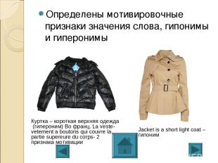 Определены мотивировочные признаки значения слова, гипонимы и гиперонимы Jacket