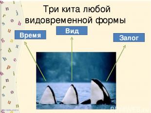 Три кита любой видовременной формы Время Вид Залог