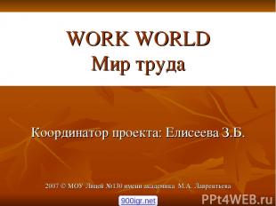 WORK WORLD Мир труда Координатор проекта: Елисеева З.Б. 2007 © МОУ Лицей №130 им