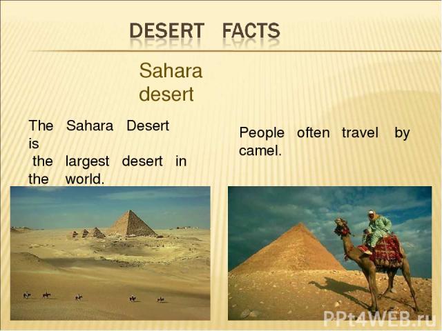The Sahara Desert is the largest desert in the world. People often travel by camel. Sahara desert
